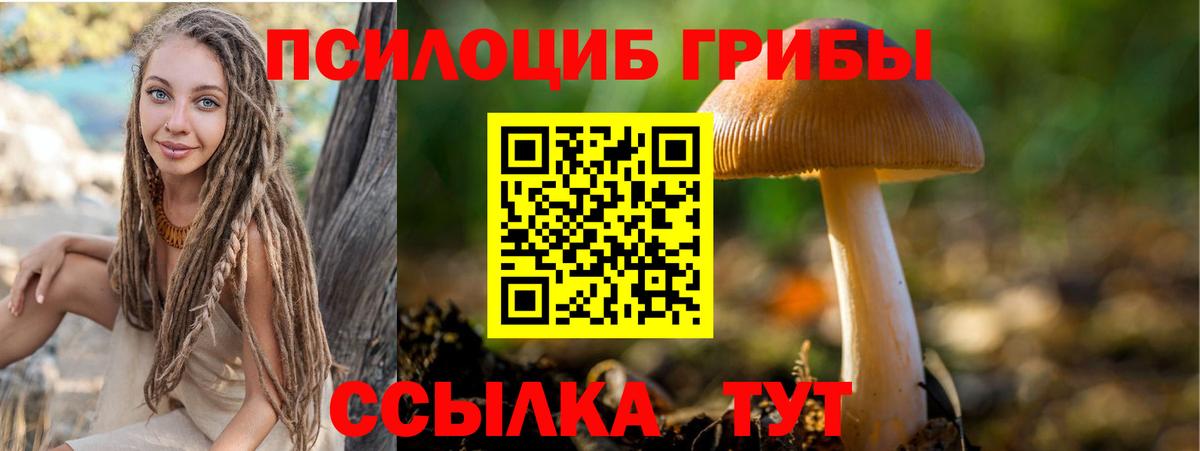 Галлюциногенные грибы прущие грибы Гатчина